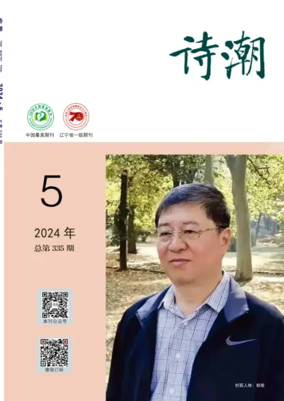 Cover of The Poetic Tide