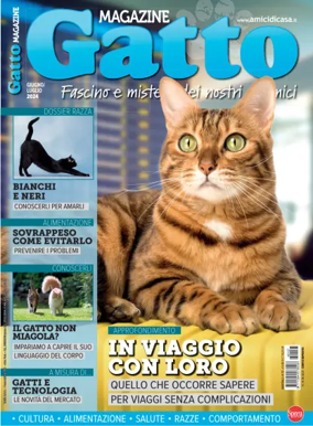 Cover of Gatto Magazine