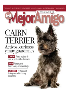 Cover of Mejor Amigo