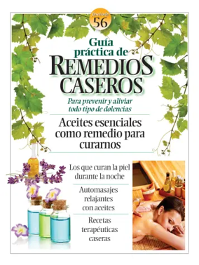 Cover of Remedios caseros