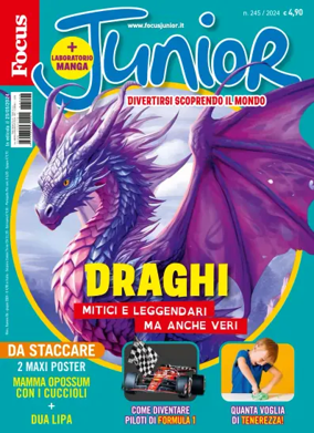 Cover of Focus Junior