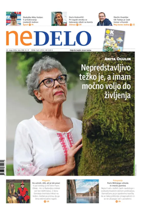 Cover of Ne Delo