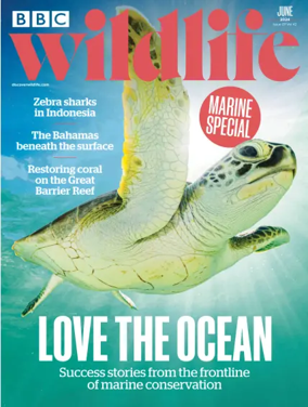 Cover of BBC Wildlife Magazine