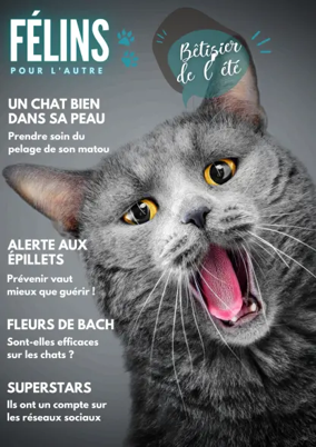Cover of Félins pour l'autre