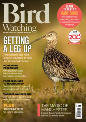 Cover of Bird Watching (UK)