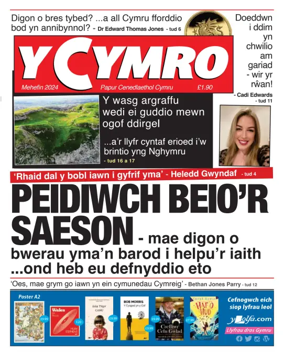 Cover of Y Cymro