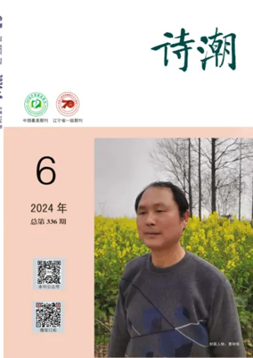 Cover of The Poetic Tide