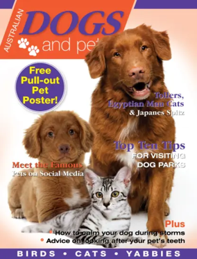 Cover of Dogs & Pets
