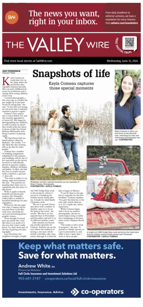 Cover of The Valley Wire