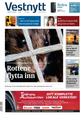 Cover of Vestnytt