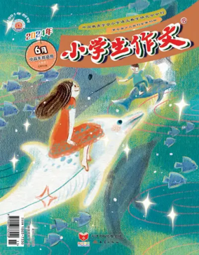 Cover of Primary Composition (Senior Edition)