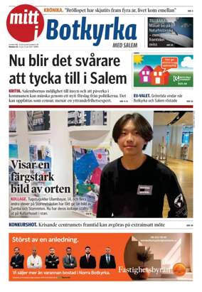 Cover of Mitt i Salem