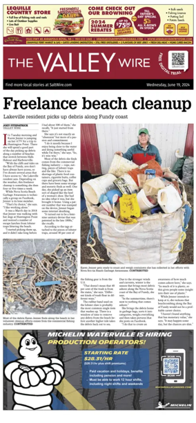 Cover of The Valley Wire