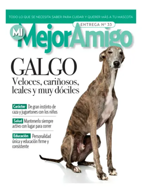 Cover of Mejor Amigo