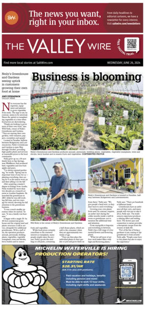 Cover of The Valley Wire