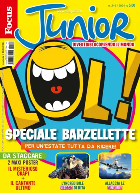 Cover of Focus Junior
