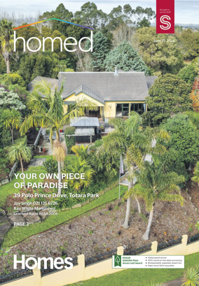 Cover of Southern Homes