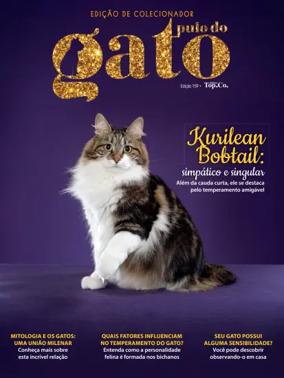 Cover of Pulo do gato