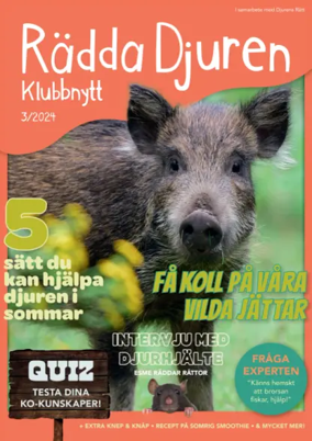 Cover of Radda Djuren