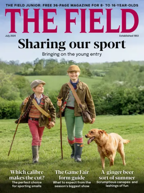 Cover of The Field