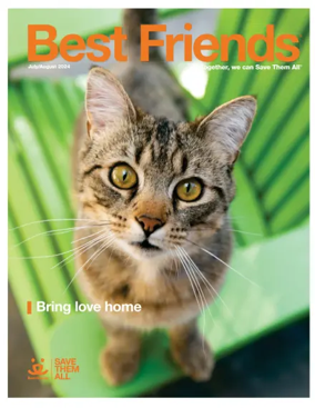 Cover of Best Friends