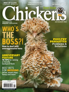 Cover of Chickens
