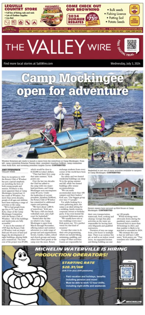 Cover of The Valley Wire