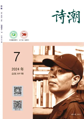 Cover of The Poetic Tide