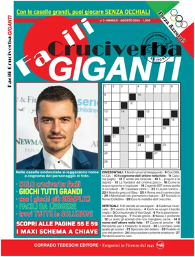 Cover of Facili Cruciverba Maxi