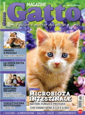 Cover of Gatto Magazine