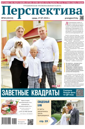 Cover of Perspektiva