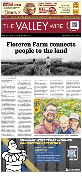 Cover of The Valley Wire