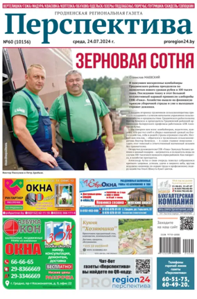 Cover of Perspektiva