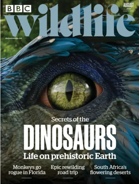 Cover of BBC Wildlife Magazine