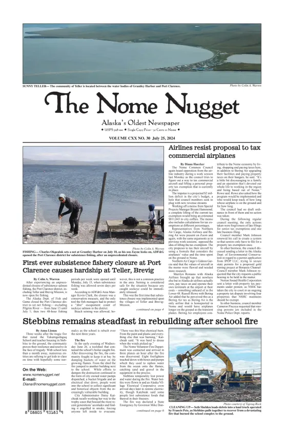 Cover of The Nome Nugget