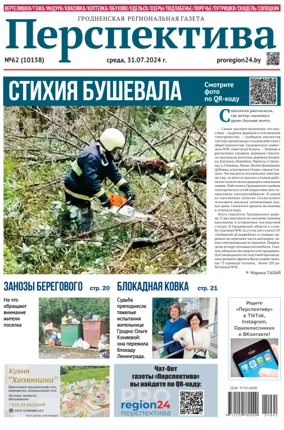 Cover of Perspektiva