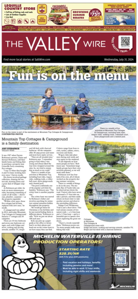 Cover of The Valley Wire