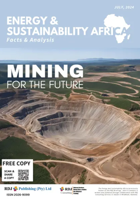 Cover of RDJ Briefing