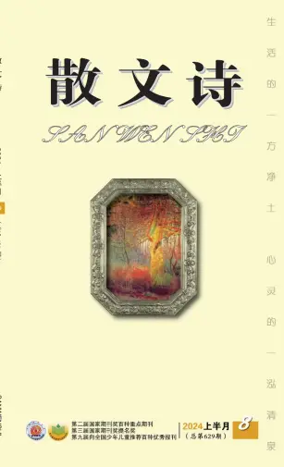 Cover of San Wen Shi
