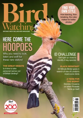 Cover of Bird Watching (UK)