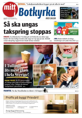 Cover of Mitt i Salem