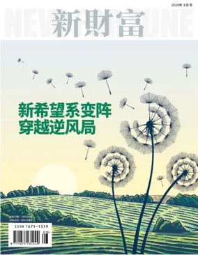 Cover of New Fortune