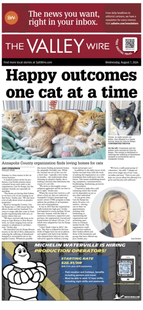 Cover of The Valley Wire