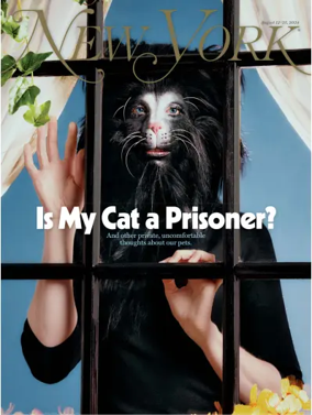 Cover of New York Magazine