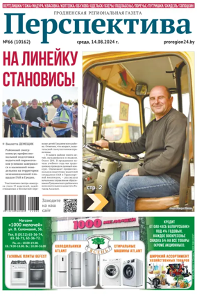 Cover of Perspektiva