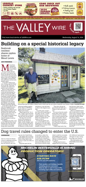 Cover of The Valley Wire