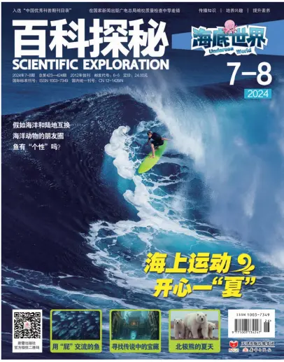 Cover of Scientific Exploration (Undersea World)