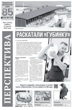Cover of Perspektiva