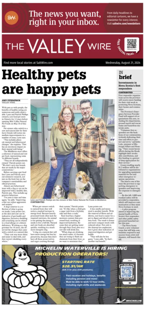 Cover of The Valley Wire