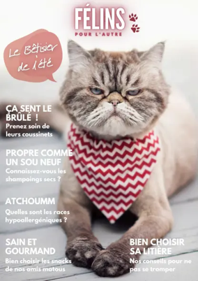 Cover of Félins pour l'autre